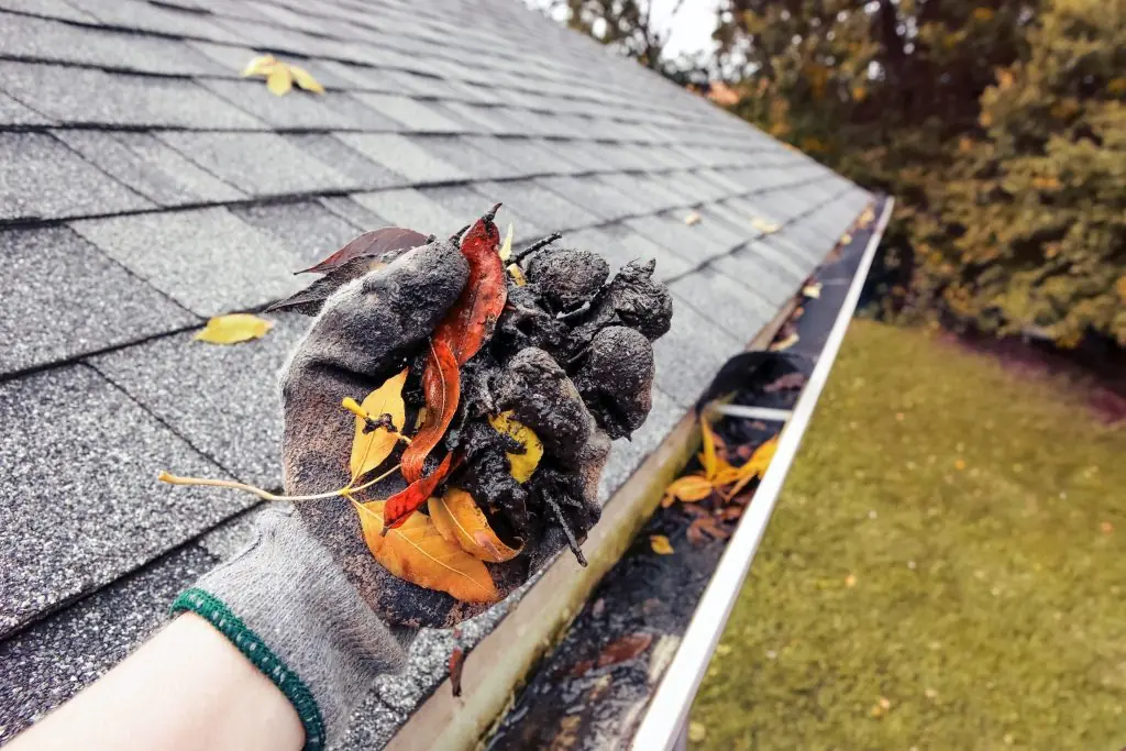 Gutter Repair